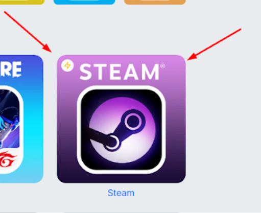 Раздел STEAM