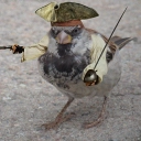 Vorobiniy_Such