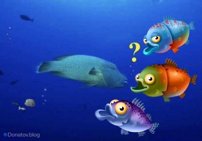 Руководство по рыбалке в Hay Day