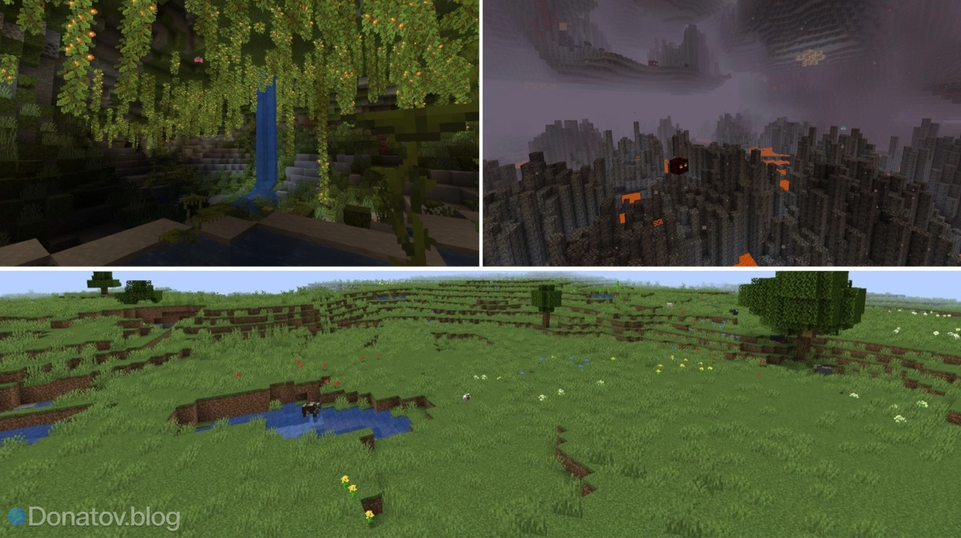Все биомы Minecraft: полное описание миров — от равнин до Края