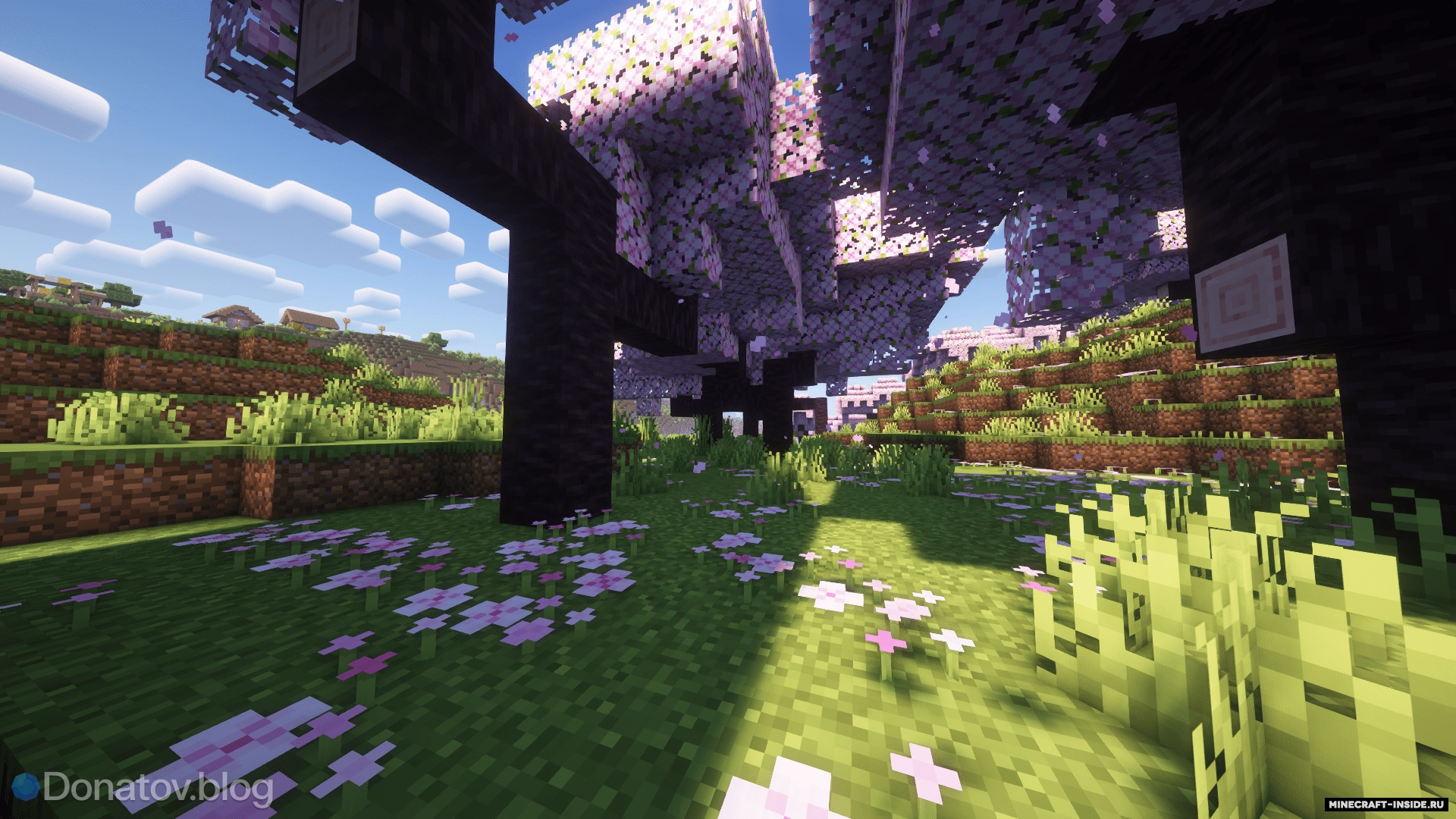 Как найти вишнёвый биом в Minecraft — все способы и советы по поиску