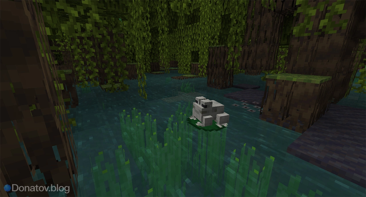 Как найти болото в Minecraft — где появляется биом и как быстро к нему добраться