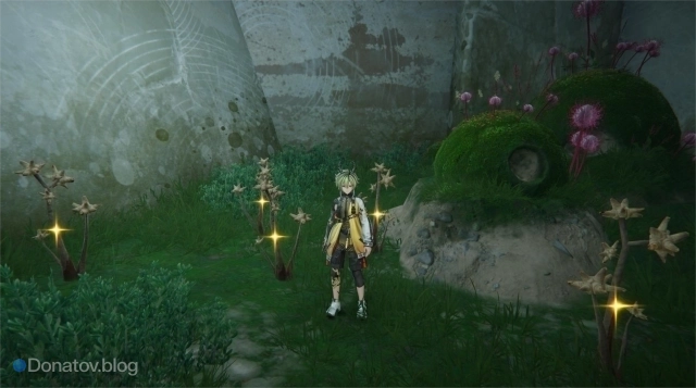 Калкодендра в Arknights: Endfield — места сбора и способ применения