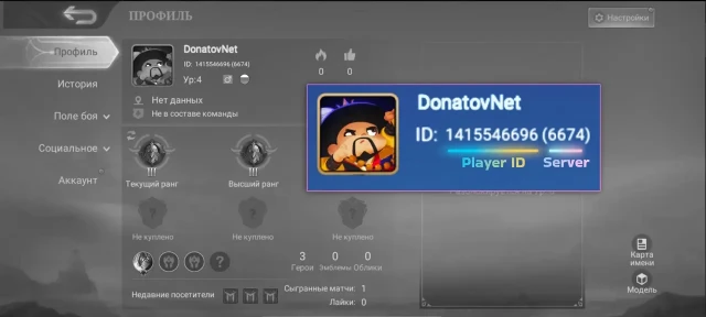Player ID и Server ID