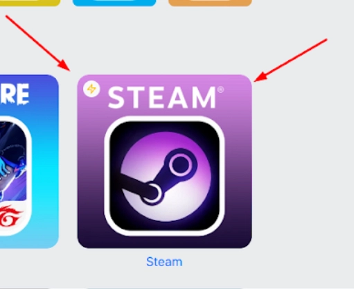 Раздел STEAM