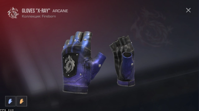 Перчатки Gloves X-RAY