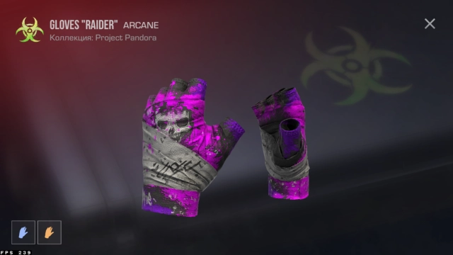 Перчатки Gloves RAIDER