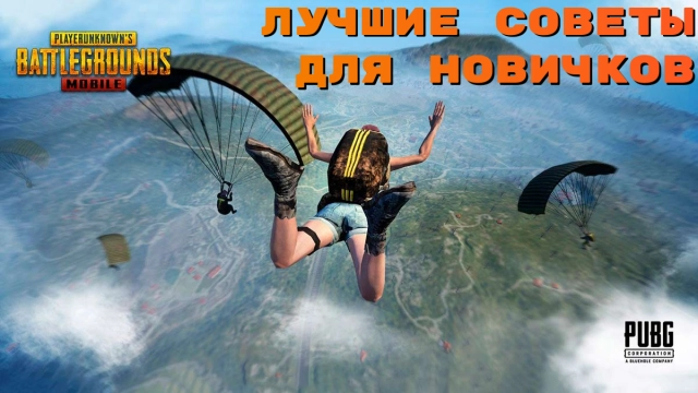 Лучшие советы для новичков