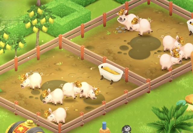 Свиньи в Hay Day