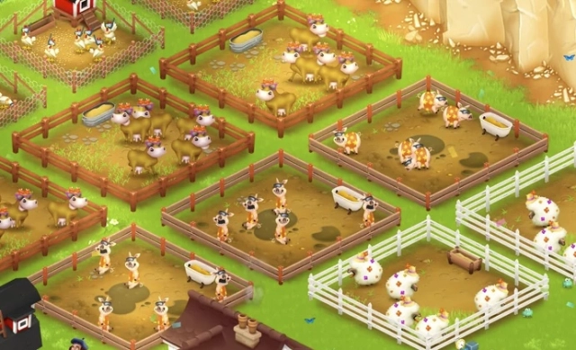 Устройство фермы в Hay Day
