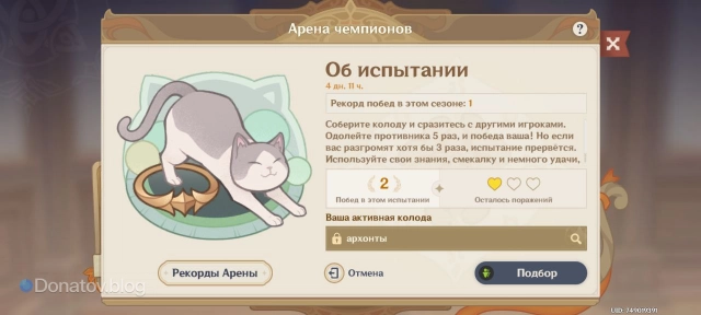 Интерфейс при игре в Арене чемпионов