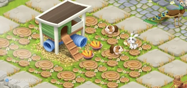 Кролики и морские свинки в Hay Day