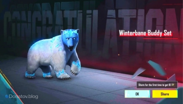 Медведь из рулетки Hola Buddy