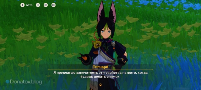 Тигнари, с которым необходимо поговорить