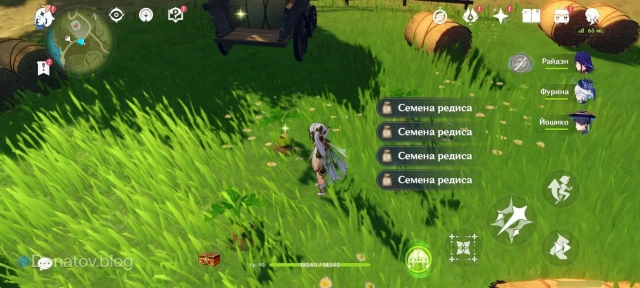 Сбор семян растений