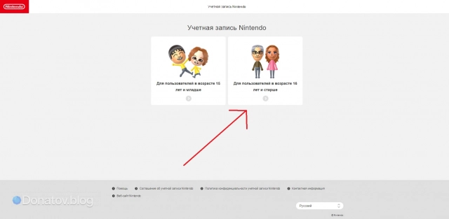 Кнопка подтверждения возраста на сайте Nintendo