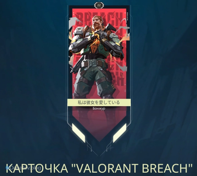Карточка VALORANT Breach