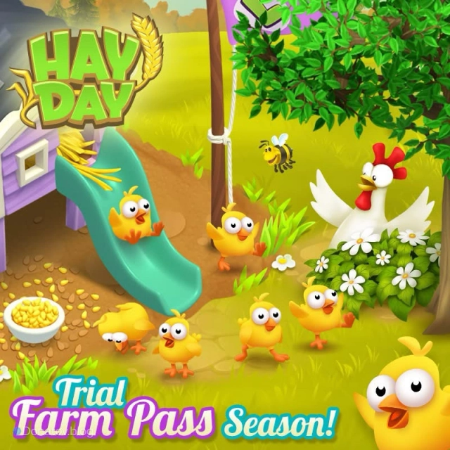 Цыплята в Hay Day