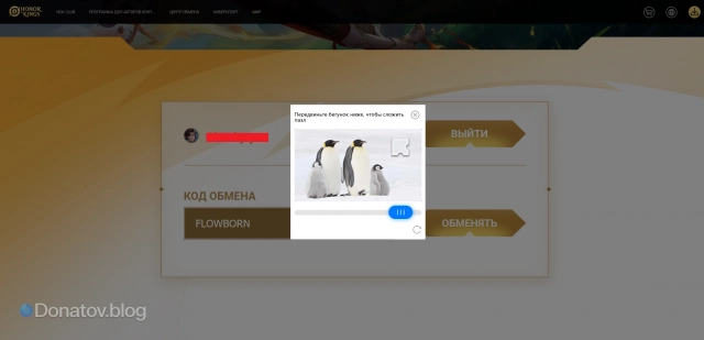 Прохождение капчи на сайте