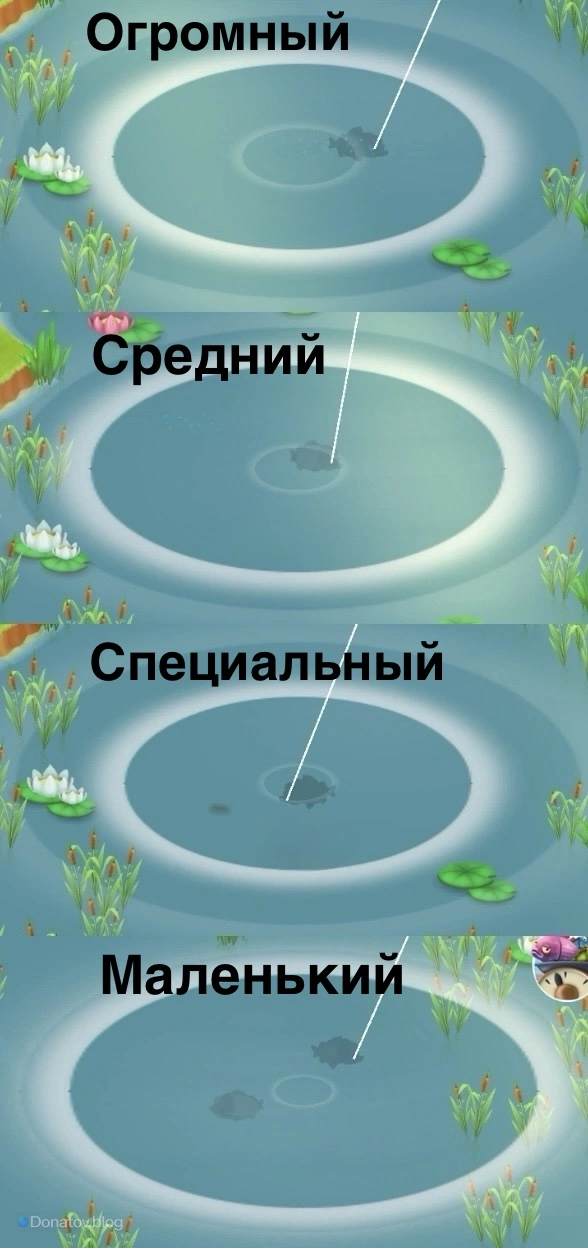 Рыболовные круги разного размера в Hay Day