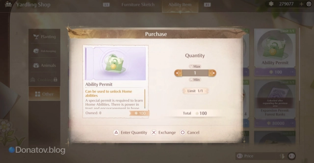 Ability Permit в Infinity Nikki