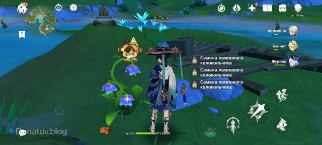 Сбор семян Лампового колокольчика