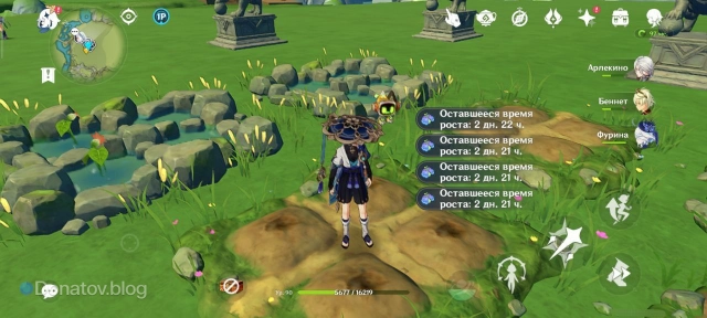 Посадка Лампового колокольчика