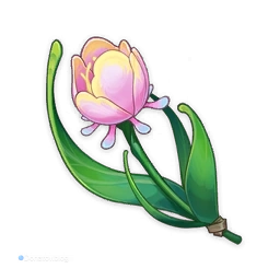 Предмет Радужная роза в Genshin Impact