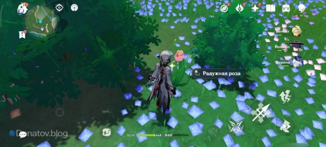 Радужная роза в игре