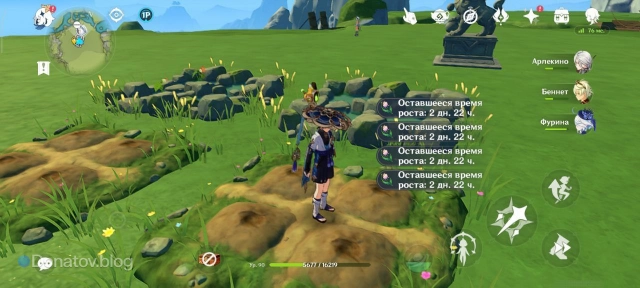 Посадка Радужной розы