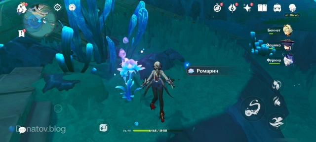 Ромарин в игре