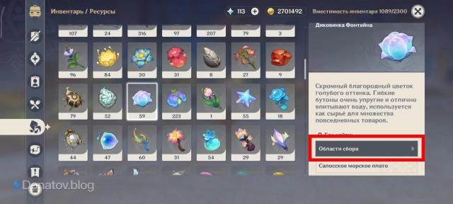 Ромарин в инвентаре