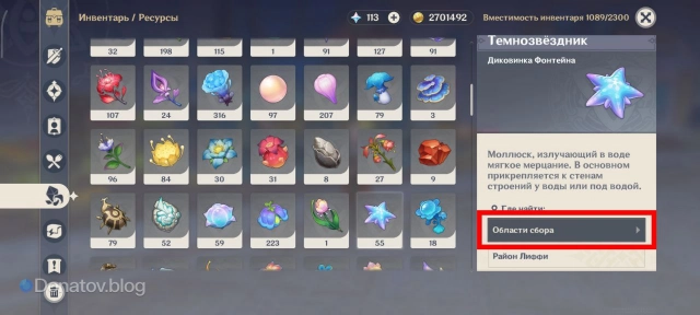 Темнозвёздник в инвентаре