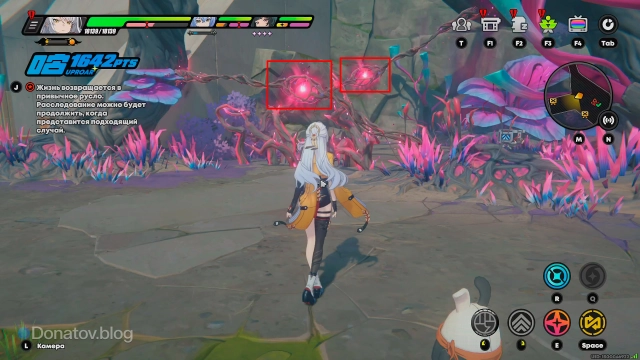 Симбиотические ядра в неразрушенном состоянии