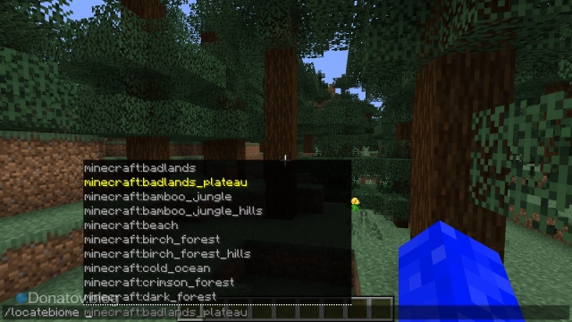 Команда locatebiome в «Майнкрафте»
