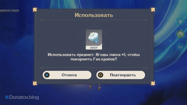 Подношение ягоды лакка