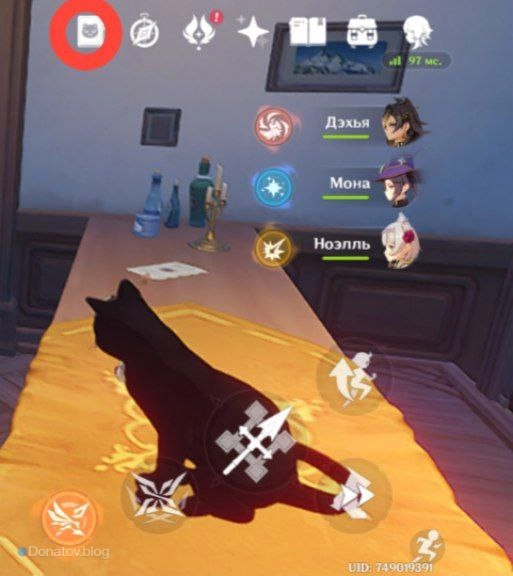 Где найти Руководство игрока