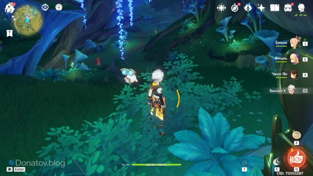 Место расположения испытания в Лесу Мотиймы