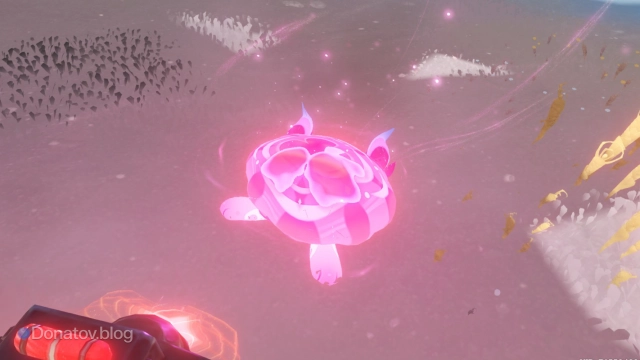 Медуза выпускает куувяки