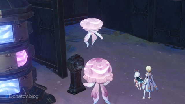 Медузы по две стороны барьера