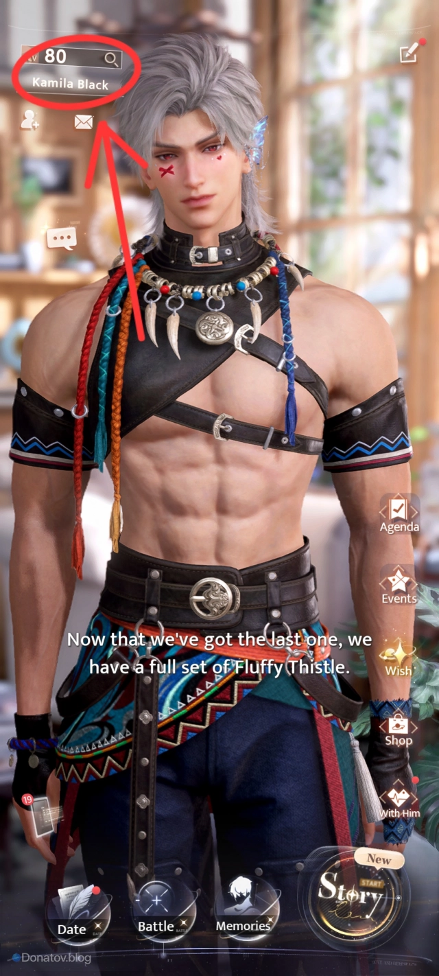 Главный экран игры с указанием уровня игрока