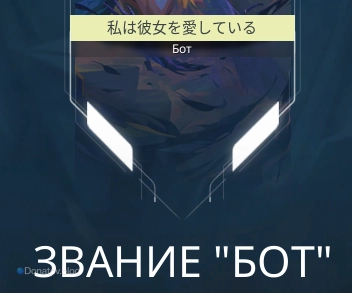 Звание «Бот»