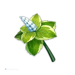 Мята в Genshin Impact