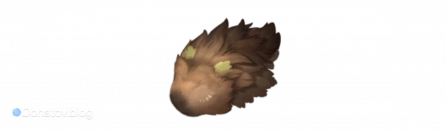 Sproutborne Fluff в Infinity Nikki