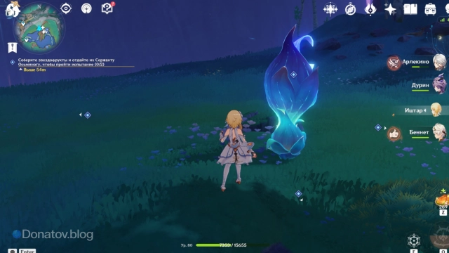 Как выглядит звездофрукт