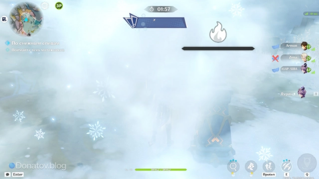 Ограниченный обзор