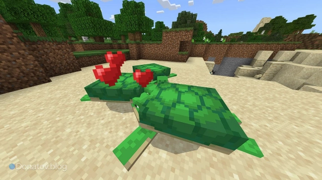 Сердечки над черепахами