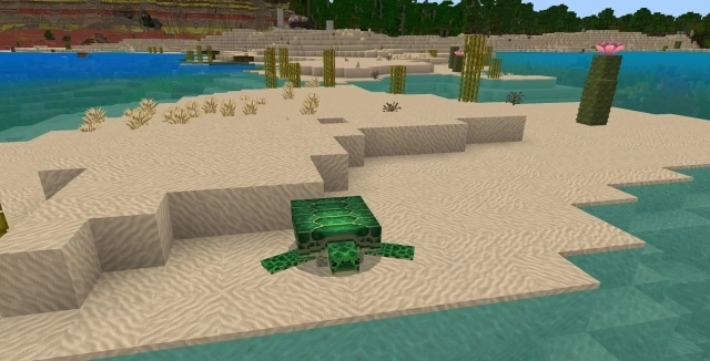 Как размножить черепах в Minecraft: как это делается и зачем это нужно