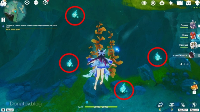 4 берилловые ракушки