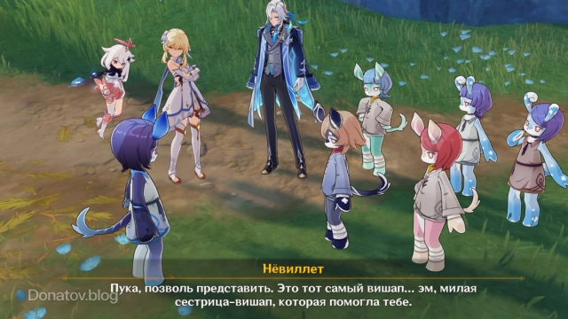 Представление Пашив